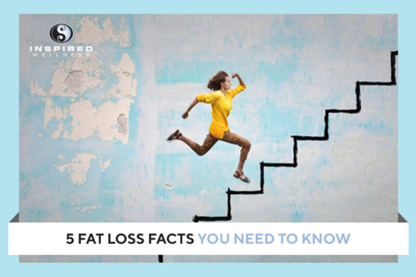 fat-loss-facts